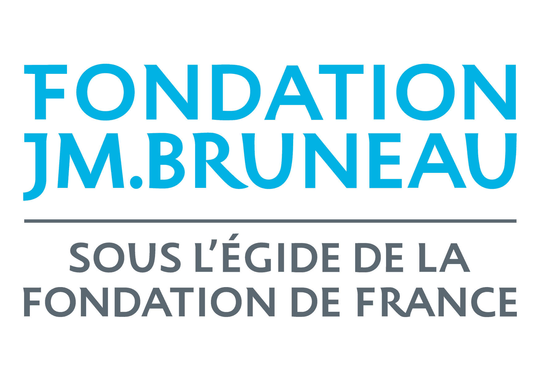 bruneau-fondation-